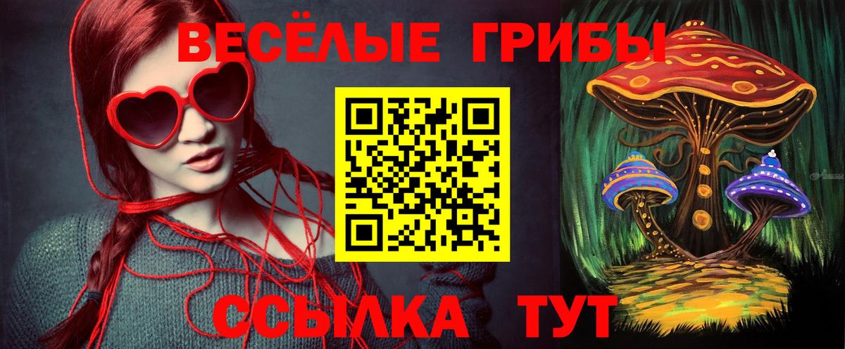 Псилоцибиновые грибы ЛСД Алушта